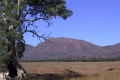 Flinders Range N.P.