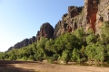 versteinertes Riff (Windjana Gorge)