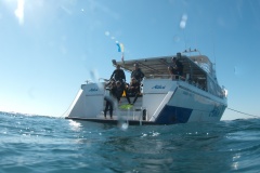Ningaloo Reef