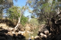 different landscape at far end of Tunnel Creek