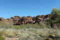Bee Hives - Purnululu N.P.