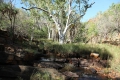 Eingangs Galvan Gorge