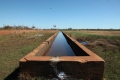 120m long Cattle Trough