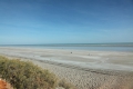 Eigthy Mile Beach