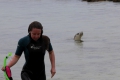 BairdBay_Sealion_why-are-you-leaving.jpg
