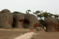 Murphys_Haystack_trees.jpg