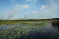 Mamukala Billabong