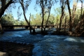 Low Level Bridge bei Katherine