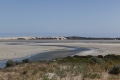 coroong_salt_creek.jpg