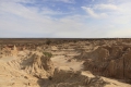 mungo_wall3.jpg