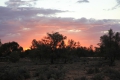 sunset_mungo.jpg